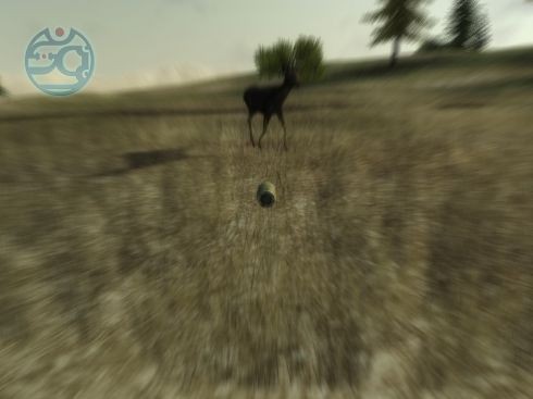 3D hunting 2010: обзор