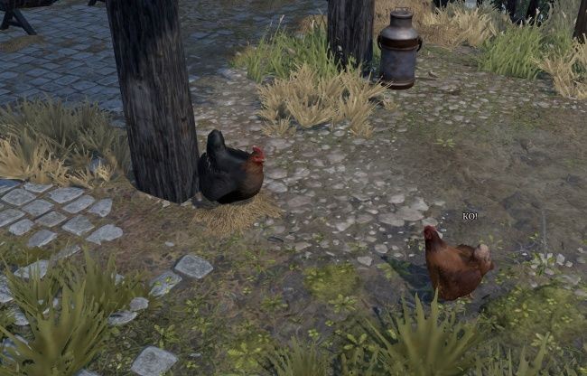 Когда считать цыплят