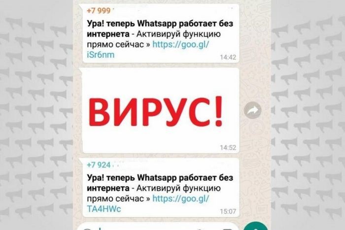 Новый компьютерный вирус распространяется через whatsapp