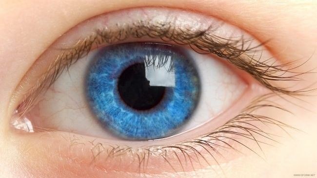 Российские учёные впервые вживили бионический глаз пациенту